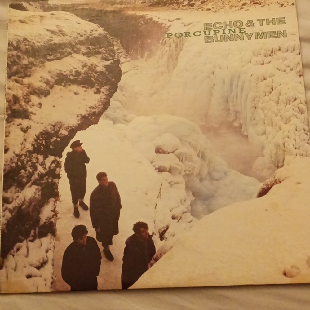 Echo & The Bunnymen 'Porcupine' Vinyl Album - 1983